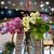 Sue Skindell Bauman's profile image