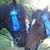Lynn Mopps's profile image