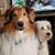 Julie J. Patterson's profile image