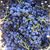 Emma Blatcher's profile image