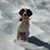 Lori Anderson's profile image