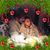 Penny Gelander's profile image