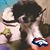 Chris Baldonado's profile image