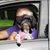 Lori Lighty's profile image