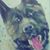 Ann Beard-Simmons's profile image