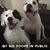 Sabrina Coryell Hickel's profile image