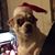 Roy J Longenecker's profile image