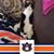 Alicia M. Perez-Yeary's profile image
