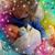 Denise M. O'Brien's profile image