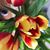 Pauline Shockner's profile image