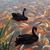 Peggy H. Sloan's profile image