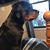 Wendy Hafer Drake's profile image