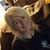 Kendra Barnz's profile image