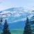 Tim Swinford's profile image