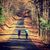 Shannon Clayton Otwell's profile image