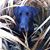 Jason Kotz's profile image