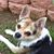 Carolyn Hayward's profile image