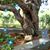 Rose Duron's profile image