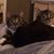Cynthia Smith's profile image
