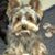 Al McQuarrie's profile image