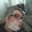 tmed's profile image