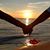 Anna Marie Reichelderfer's profile image