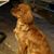 Lynn Hermansader's profile image
