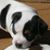 Kevin Peeples's profile image