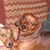 Tirina Moynagh's profile image