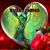 Diana Roach's profile image