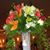 Julia Stella Marys's profile image