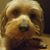 Cari Jo's profile image
