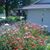 Patti Wright's profile image