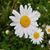 Kelly Jo Hill's profile image