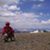 Karen Burgoyne's profile image