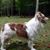Louise Jerdo's profile image