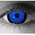 Nina Getz's profile image