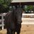 Heather Olson's profile image
