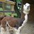Kathryn Gress's profile image