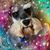 Deb Raines's profile image