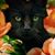 Donna Holbrook's profile image