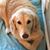 Karyn McKissick Pringle's profile image