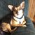 Alysyn Miller's profile image