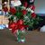Staci Ann Wenner's profile image
