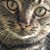 Jaime Bolin's profile image