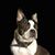 Kathie Bitzer's profile image