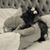 Jennifer Mullikin Hawthorne's profile image