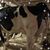 Trish Brown's profile image