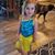 Robin Patton Hafling's profile image