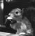 Paul M Wilson's profile image